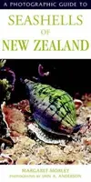 Fotografischer Führer zu den Muscheln Neuseelands - Photographic Guide To Seashells Of New Zealand