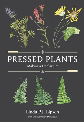 Gepresste Pflanzen: Herstellung eines Herbariums - Pressed Plants: Making a Herbarium