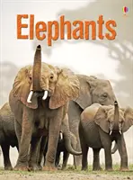 Elefanten - Elephants