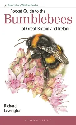 Taschenführer zu den Hummeln Großbritanniens und Irlands - Pocket Guide to the Bumblebees of Great Britain and Ireland