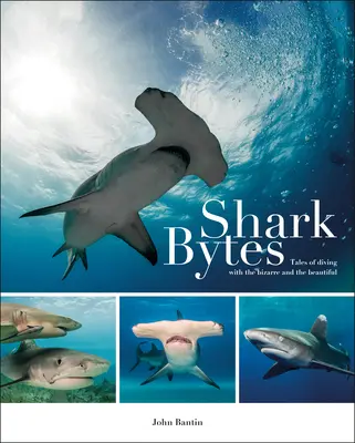 Hai-Bytes: Geschichten vom Tauchen mit dem Bizarren und dem Schönen - Shark Bytes: Tales of Diving with the Bizarre and the Beautiful