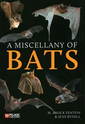 Ein Sammelsurium von Fledermäusen - A Miscellany of Bats