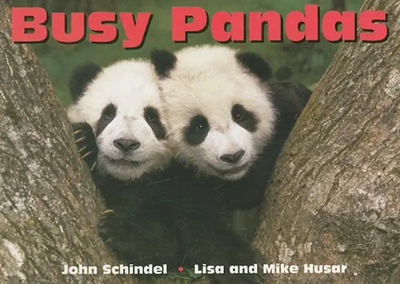 Fleißige Pandas - Busy Pandas