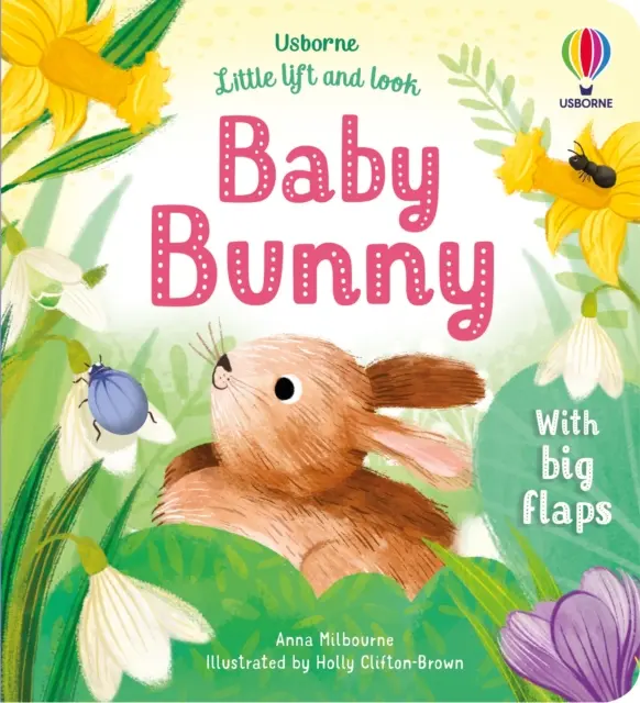 Kleines Heben und Schauen Baby Bunny - Little Lift and Look Baby Bunny