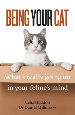 Die eigene Katze: Was wirklich im Kopf der Katze vor sich geht - Being Your Cat: What's Really Going on in Your Feline's Mind