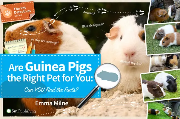 Sind Meerschweinchen das richtige Haustier für Sie: Können Sie die Fakten finden? - Are Guinea Pigs the Right Pet for You: Can You Find the Facts?