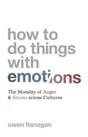 Wie man mit Emotionen umgeht: Die Moral von Wut und Scham in verschiedenen Kulturen - How to Do Things with Emotions: The Morality of Anger and Shame Across Cultures
