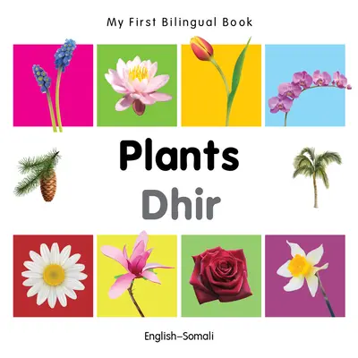 Mein erstes zweisprachiges Buch-Pflanzen (Englisch-Somali) - My First Bilingual Book-Plants (English-Somali)