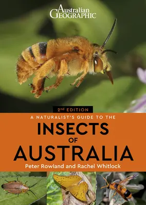 Ein Handbuch für Naturforscher über die Insekten Australiens - A Naturalist's Guide to the Insects of Australia