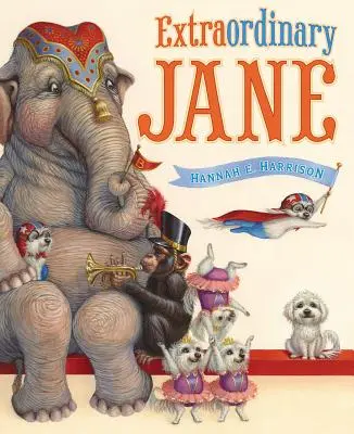 Außergewöhnliche Jane - Extraordinary Jane