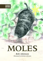 Maulwürfe - Moles