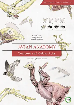 Anatomie der Vögel: Lehrbuch und Farbatlas - Avian Anatomy: Textbook and Colour Atlas