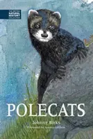 Iltisse - Polecats