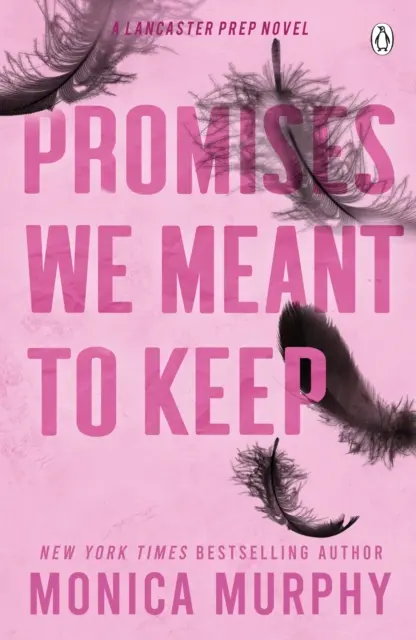 Promises We Meant To Keep - Die emotional packende TikTok-Sensation, bei der man in Ohnmacht fällt - Promises We Meant To Keep - The emotionally gripping and swoon-worthy TikTok sensation