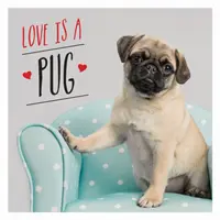 Liebe ist ein Mops - Eine pugtastische Feier der süßesten Hunde der Welt - Love is a Pug - A Pugtastic Celebration of The World's Cutest Dogs