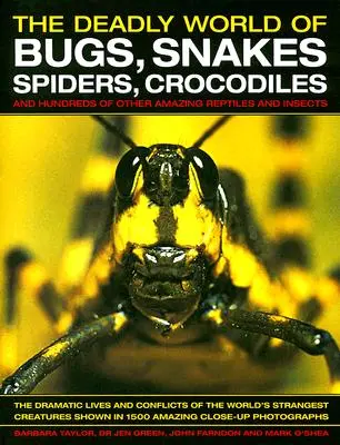 Die tödliche Welt der Käfer, Schlangen, Spinnen und Krokodile: Und Hunderte von anderen erstaunlichen Reptilien und Insekten - The Deadly World of Bugs, Snakes, Spiders, Crocodiles: And Hundreds of Other Amazing Reptiles and Insects