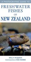 Fotografischer Führer zu den Süßwasserfischen Neuseelands - Photographic Guide To Freshwater Fishes Of New Zealand