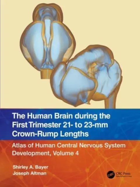 Das menschliche Gehirn im ersten Trimester 21- bis 23-MM Kronen-Steiß-Längen: Atlas der Entwicklung des menschlichen Zentralnervensystems, Band 4 - The Human Brain During the First Trimester 21- To 23-MM Crown-Rump Lengths: Atlas of Human Central Nervous System Development, Volume 4