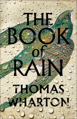 Buch des Regens - Book of Rain