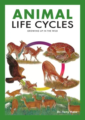 Lebenszyklen der Tiere: Entdecken, wie Tiere in der Wildnis leben - Animal Life Cycles: Discovering How Animals Live in the Wild