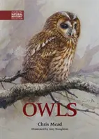 Eulen - Owls