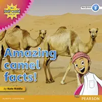 Meine Welt am Golf und ich Sachbuchlektüre der Stufe 3: Erstaunliche Fakten über Kamele! - My Gulf World and Me Level 3 non-fiction reader: Amazing camel facts!