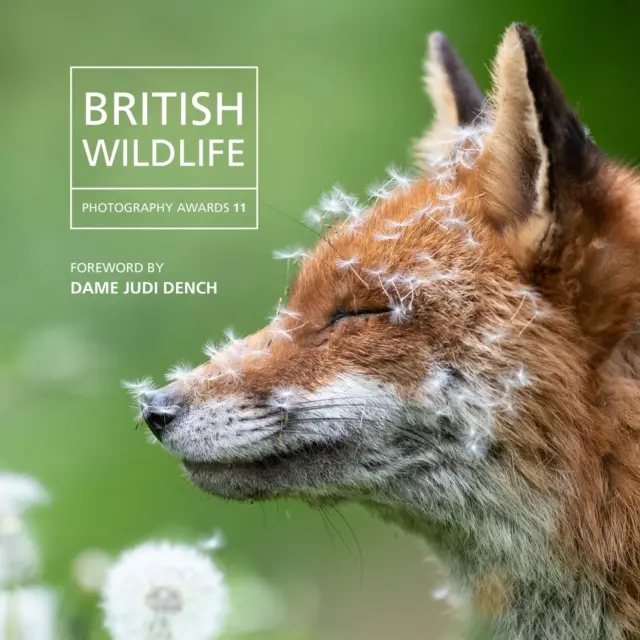 Britische Preise für Wildlife-Fotografie 2023 - British Wildlife Photography Awards 2023