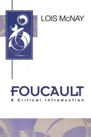 Foucault - Eine kritische Einführung - Foucault - A Critical Introduction