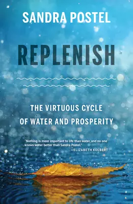 Wiederauffüllen: Der tugendhafte Kreislauf von Wasser und Wohlstand - Replenish: The Virtuous Cycle of Water and Prosperity