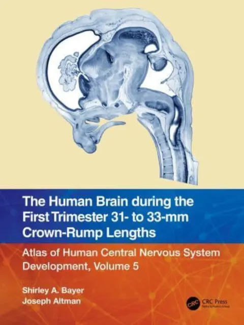 Das menschliche Gehirn im ersten Trimester 31- bis 33-MM Scheitel-Steiß-Längen: Atlas der Entwicklung des menschlichen Zentralnervensystems, Band 5 - The Human Brain During the First Trimester 31- To 33-MM Crown-Rump Lengths: Atlas of Human Central Nervous System Development, Volume 5