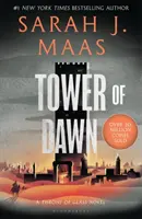 Tower of Dawn - Von der Nr. 1 der Sunday Times-Bestsellerautorin von A Court of Thorns and Roses (Ein Hof aus Dornen und Rosen) - Tower of Dawn - From the # 1 Sunday Times best-selling author of A Court of Thorns and Roses