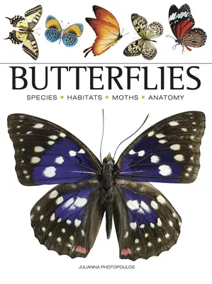 Schmetterlinge - Butterflies