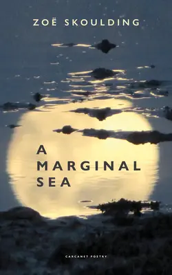 Eine marginale See - A Marginal Sea