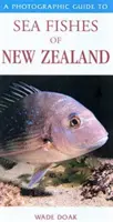 Fotografischer Führer zu den Meeresfischen Neuseelands - Photographic Guide To Sea Fishes Of New Zealand