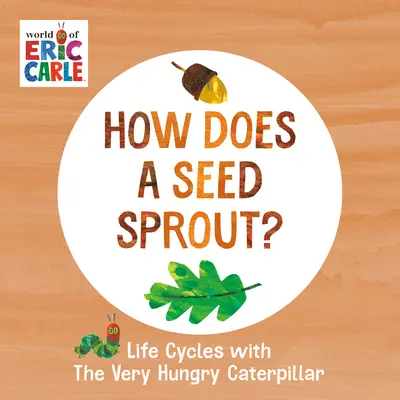 Wie keimt ein Samen?: Lebenszyklen mit der sehr hungrigen Raupe - How Does a Seed Sprout?: Life Cycles with the Very Hungry Caterpillar