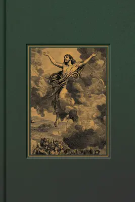 CSB Verzierte Bibel, Waldstoff-Over-Board - CSB Adorned Bible, Forest Cloth-Over-Board