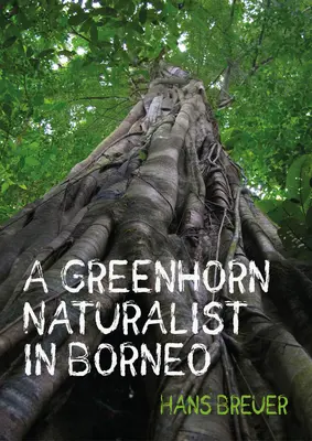 Ein unerfahrener Naturforscher in Borneo - A Greenhorn Naturalist in Borneo