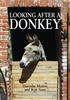 Einem Esel nachschauen - Looking After a Donkey