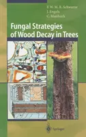 Pilzstrategien der Holzfäule in Bäumen - Fungal Strategies of Wood Decay in Trees