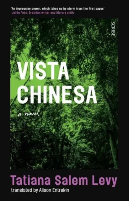 Vista Chinesa - „Liegt irgendwo zwischen den experimentellen Romanen von Eimear McBride und Leila Slimanis schockierenderem Werk“ - The Sunday Times - Vista Chinesa - 'Sits somewhere between the experimental novels of Eimear McBride and Leila Slimani's more shocking output' - The Sunday Times