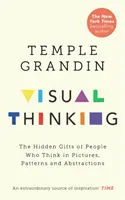 Visuelles Denken - Die verborgenen Gaben von Menschen, die in Bildern, Mustern und Abstraktionen denken - Visual Thinking - The Hidden Gifts of People Who Think in Pictures, Patterns and Abstractions