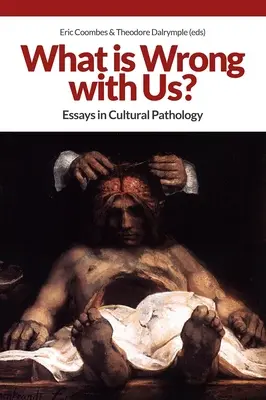 Was ist falsch mit uns? Essays zur kulturellen Pathologie - What Is Wrong with Us?: Essays in Cultural Pathology