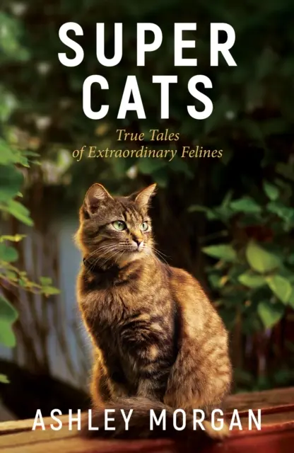 Superkatzen: Wahre Geschichten über außergewöhnliche Katzen - Super Cats: True Tales of Extraodinary Felines