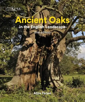 Antike Eichen in der englischen Landschaft - Ancient Oaks in the English Landscape