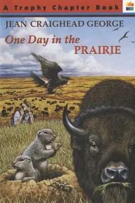 Ein Tag in der Prärie - One Day in the Prairie