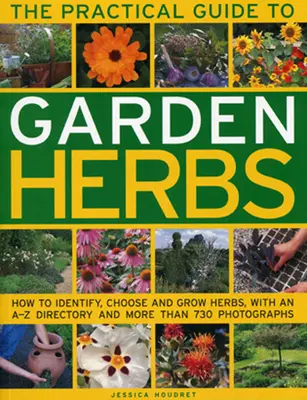 Der praktische Leitfaden für Gartenkräuter: Wie man Kräuter identifiziert, auswählt und anbaut, mit einem Verzeichnis von A-Z und mehr als 730 Fotografien - The Practical Guide to Garden Herbs: How to Identify, Choose and Grow Herbs with an A-Z Directory and More Than 730 Photographs