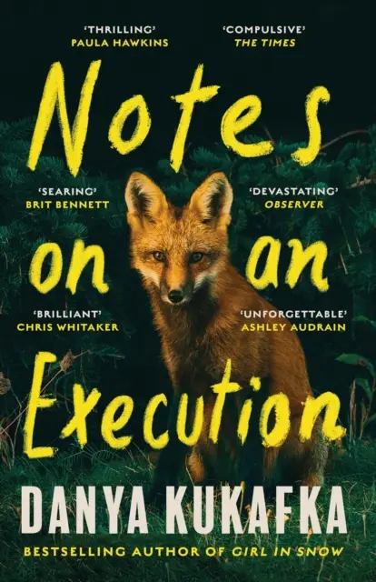 Notes on an Execution - Der Bestseller-Thriller, über den alle reden - Notes on an Execution - The bestselling thriller that everyone is talking about