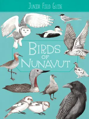 Junior Field Guide: Vögel von Nunavut: Englische Ausgabe - Junior Field Guide: Birds of Nunavut: English Edition