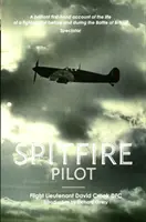 Spitfire-Pilot - Spitfire Pilot