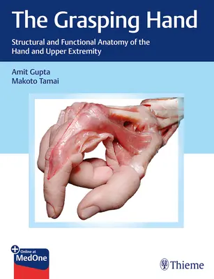 Die greifende Hand: Strukturelle und funktionelle Anatomie der Hand und der oberen Extremitäten - The Grasping Hand: Structural and Functional Anatomy of the Hand and Upper Extremity